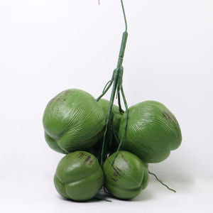 Plastic Simulation Coconut Fruit Vegetable Model Photography Display Early Education Toy Hainan Decoration Home Decor