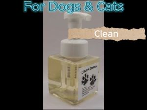 BioSafe4U Paws Cleanse & Sanitize for Pets - Ecovera, 240ml - 100% Plant-Derived Formula, Anti-Bacterial Effects Against Staphylococcus Aureus and Escherichia Coli, Neutralizes Odor-Causing Bacteria and Gentle on Paws.