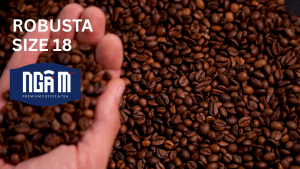 Cà Phê Robusta Size 18 – Rang Mộc Xay Sẵn – Pha Phin – Pha Máy – Nguyên Hạt –  Đậm Vị Cà Phê Việt Hương Thơm Tự Nhiên
