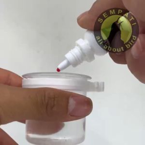 SEMPATI OBAT CACING MENGOBATI BURUNG SAKIT CACING KURUS LESU UNTUK MURAI KACER LOVEBIRD ANIS DLL