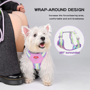 Mojioo Dog Harness Lightweight comforatble Dog Harness with Reflective Leash for Small Dogs Perfect for Bichon Pomeranian and Other Small dogs and cats