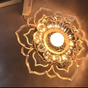 chandelier ceiling sala LED Ceiling Light Creative Lamp For Home Decoration Balcony Lamp Porch Lights Corridor Light Fixture