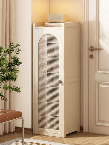CHUJUN | Dust-proof Shoe Cabinet
