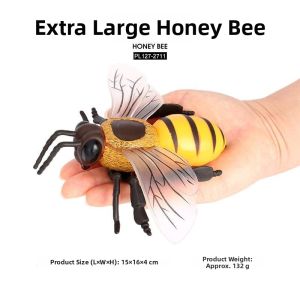 Realistic Educational Wild Insect Models