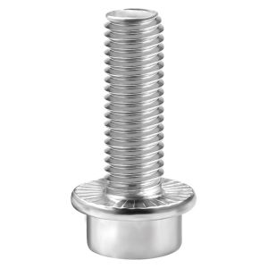 BAIRUITE | Stainless Steel Flange Hex Cap Screw M5-M12