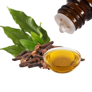 Minyak Cengkeh Langsung dari Penyulingan 100% Murni
