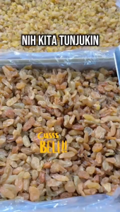 KISMIS ASAM-MANIS | MUTIARA MANIS DUS 10KG Zabib Buah Golden Raisins raisin anggur kering dried