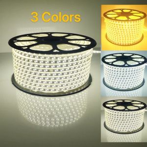 【COD&Ready】Rohstar 5730 LED strip light tricolor waterproof Heavy duty Tricolor(daylightcoolwhite and warmwhite)