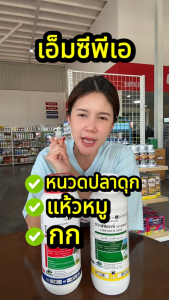 ชวาสท็อกซ์ (เอ็มซีพีเอ) 1 ลิตร สูตรไม่มีกลิ่น เก่งหญ้าแห้วหมู หนวดปลาดุก กกทราย หญ้าประเภทใบกว้าง