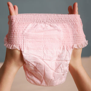 Dog Diapers Pet Paper Periodical Towels for Male Dogs Heat Cycle Supplies Puppy Training Accessories Normal Size