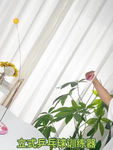 BABYSHOME | Dụng Cụ Đào Tạo Bóng Bàn Hỗ Trợ Thị Lực
