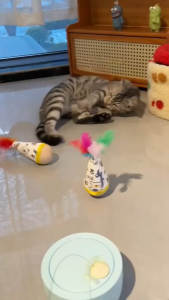 Tumbler Cat Toy Wobble Cat Toy—The Ultimate Boredom-buster That Lets Cats Entertain Themselves A Toy Featuring Both Tumbling and Twisting Actions Shop 1