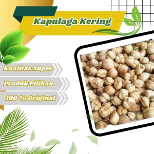 Jamu Herbal Tradisional rempah bumbu Kapulaga kapol premium tanpa pewarna untuk kesehatan tubuh