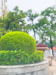 Glass Stain Remover Car Glass Oil Film Cleaning Wipes Watermark Remover Cleaning Oil Film Removal Wet Wipe 玻璃油膜去除湿巾