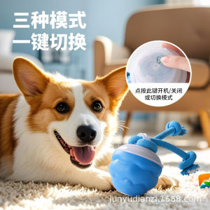Pet toy ball self-hi teasing dog ball jumping ball automatic teasing dog ball Internet celebrity electric cat and dog supplies