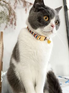 Ultra-Light Cat Collar with Bell Anti-Choking Safety Buckle Pet Supplies Cat Leash Necklace Decorative Fabric Customizable No
