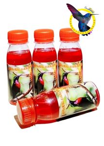 Pakan Burung Kolibri POWER NEKTAR Hijau