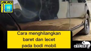 Cat Oles Daihatsu White W09 Automotive Paint CHAMELEON NGL