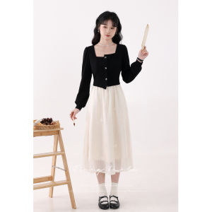 New Chinese Style Gentle A-Line Dress Jennifer Diary Square Collar Fake Two-Piece Womens Spring Summer Soft A-Line Dress