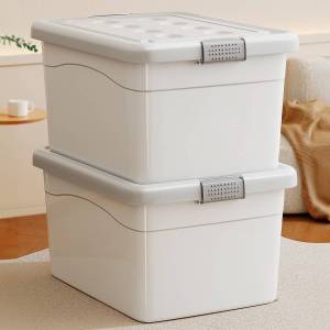 JINGZHIYU | Large Capacity Storage Box