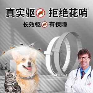 Pet Safety Protection Essential Oil Dog Collar Cat Necklace Small Medium Large Dogs Universal Essential Oil Protective Necklace