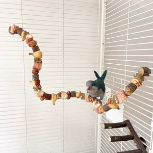 Natural Bird Gym Perch Set | Grapevine Perch | Spiral Climbing Perch | Natural Wood Climbing Station | Bird Playground for Budgie Lovebird Cockatiel Conure