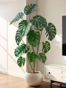 High-end Imitation Monstera Deliciosa Potted Plant