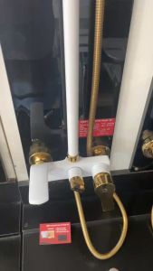 Sen cây nóng lạnh trắng ánh vàng GS6607T