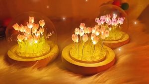 Creative Tulip Night Light DIY Handmade Material Pack Atmosphere Lamp Ornanment Birthday Gift Supply