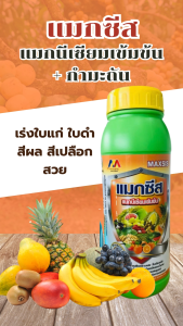 แมกซีส : แมกนีเซียม5% กำมะถัน4% ใบเขียวหนา แมกนีเซียมเข้มข้น เนื้อใส แมกนีเซียมเข้มข้น เสริมคลอโรฟิลล์ ใบเขียวเข้ม สร้างอาหาร เร่งใบแก่ ใบเขียว แก้ใบเหลือง