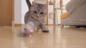 【GUGU-W】เลเซอร์แมวของเล่นแมวของเล่นแมวกรงเล็บรูปร่างเลเซอร์แมวเหยื่อ LED ไฟฉายแมวล่อของเล่นแมว