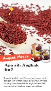 Kapsul Angkak Ath Thoifah Asli BPOM | Monascus purpureus | Membantu Menjaga Kadar Kolesterol Tetap Normal & Menunjang Kesehatan Jantung