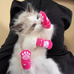 Cat Socks Anti-Dirt Gradient Color Dog Shoes Outdoors Anti-Scratch Pet Accessories Comfortable Regular Thickness Universal Fit