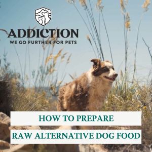 Addiction Raw Alternative Grain-Free Dog Food 900g Complete Meal or Topper for Puppies to Senior Dogs Skin and Coat Health