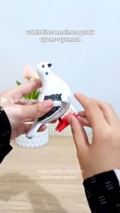MwnToys Mainan Anak Putar Jalan Bentuk Burung Merpati YI 1