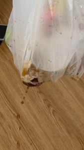 (JIJI.SG x ONES) UMBRIA Garbage Bag(50pcs) -  55x60cm/60x80cm/70x90cm/80x100cm / Garbage Bag / Waste Bag / Trash Bag / Kitchen