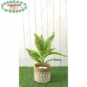 Pohon Hias Artificial Daun Lidah Mertua X9 Cover Pot Seagrass Coklat Mini Hiasan Meja Cafe Aesthetic