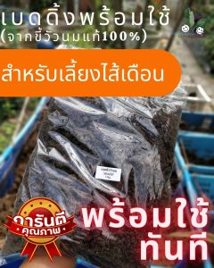 อาหารเลี้ยงไส้เดือน (ขี้วัวนมแท้100%) พร้อมอาหารไส้เดือน (บรรจุถุงละ 1 Kg) ปลอดภัย ไม่มีโซดาไฟ