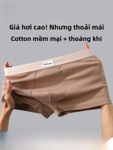 MiiOW | Quần lót nam cotton nguyên chất MiiOW 2024 Quần lót nam cạp vừa thoải mái kháng khuẩn màu trơn cỡ lớn