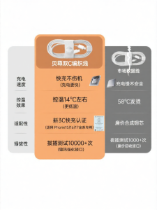 Beizun | Fast Charging Type-C Data Cable 45W