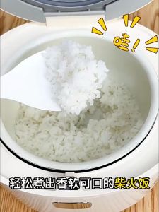 3L Bear Rice Cooker Mini Home Multifunctional Soup Porridge Intelligent Small Rice Cooker