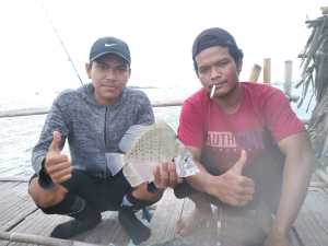 rangkaian pancing ikan kapi- kapi