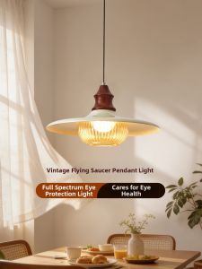 DGY | Retro French Creativity Pumpkin Hanging Light