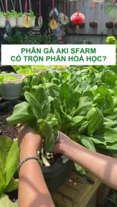 Phân Gà Nhật Bản AKI SFARM (bao 1 KG) phân hữu cơ trồng cây trồng rau cây hoa kiểng
