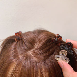 Mini Princess Hair Clips Set of 5 Womens Hair Accessories Shark Clamp Fringe Hair Decorations Korean Style Fresh out Fashion