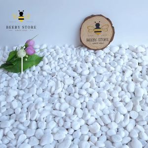 Dép Sandal Cheerful Mario Cho Bé Trai Bé Gái Chất Liệu Nhựa EVA Siêu Bền Chống Trơn 2-7 Tuổi (Video + Ảnh Thật)
