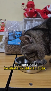 POODEE PETS Malaysia BOSSKU 1KG Super Premium Cat Food Ocean Fish Salmon Chicken All Life Stage Cat Dry Food Kibbles Makanan Kucing