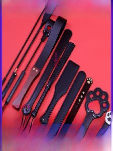 Bộ Đào Tạo Bao Gồm Đèn Paddles và roi