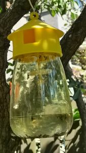 Outdoor Fruit Fly Catcher Trap  Fruit Fly Attractant Wasp Trap Reusable Plastic Hang Insect Bait Catcher Lure Attractant