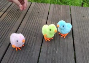 Daebak Mainan Anak Ayam Itik Lucu Berjalan